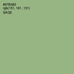 #97B583 - Sage Color Image