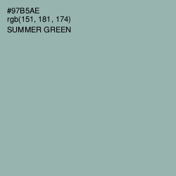 #97B5AE - Summer Green Color Image