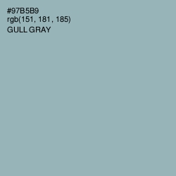 #97B5B9 - Gull Gray Color Image