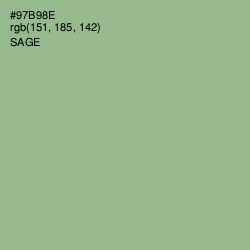 #97B98E - Sage Color Image