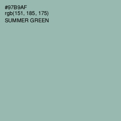 #97B9AF - Summer Green Color Image