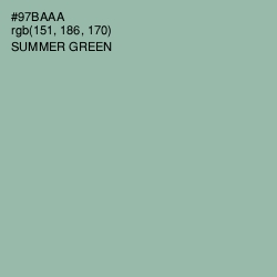 #97BAAA - Summer Green Color Image
