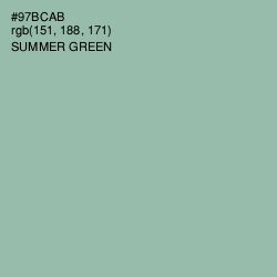 #97BCAB - Summer Green Color Image