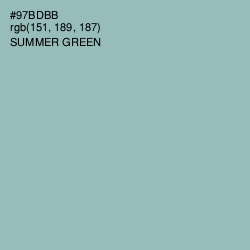 #97BDBB - Summer Green Color Image