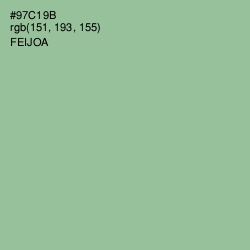 #97C19B - Feijoa Color Image
