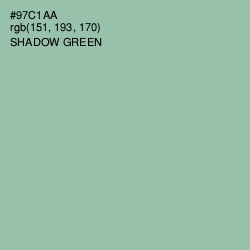 #97C1AA - Shadow Green Color Image