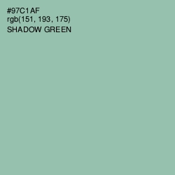 #97C1AF - Shadow Green Color Image