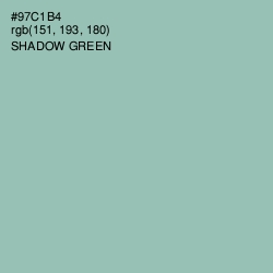 #97C1B4 - Shadow Green Color Image