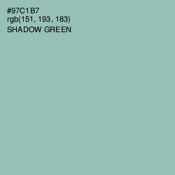 #97C1B7 - Shadow Green Color Image