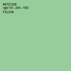 #97CC9B - Feijoa Color Image
