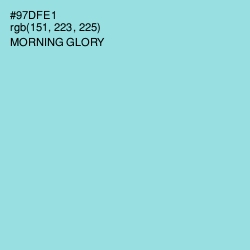 #97DFE1 - Morning Glory Color Image