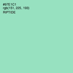 #97E1C1 - Riptide Color Image