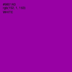 #9801A3 - Violet Eggplant Color Image