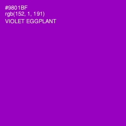 #9801BF - Violet Eggplant Color Image