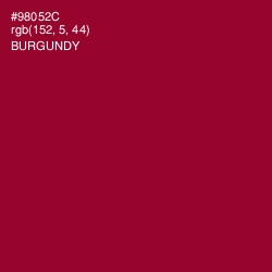#98052C - Burgundy Color Image