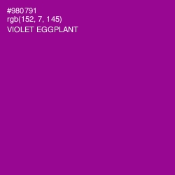#980791 - Violet Eggplant Color Image