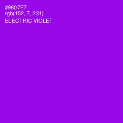 #9807E7 - Electric Violet Color Image