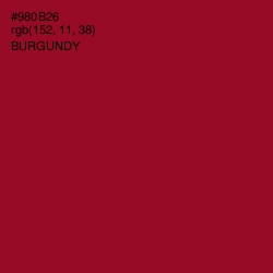 #980B26 - Burgundy Color Image