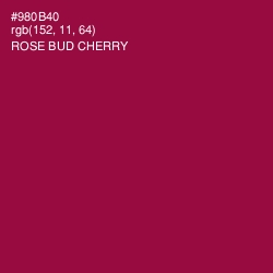 #980B40 - Rose Bud Cherry Color Image