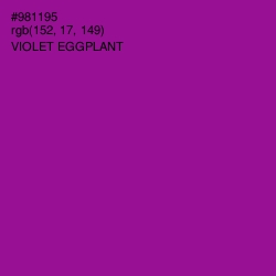 #981195 - Violet Eggplant Color Image