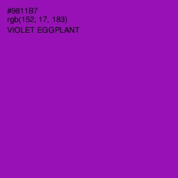 #9811B7 - Violet Eggplant Color Image