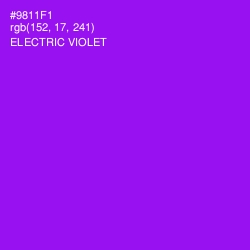 #9811F1 - Electric Violet Color Image