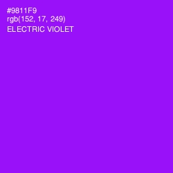 #9811F9 - Electric Violet Color Image