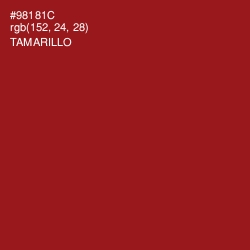 #98181C - Tamarillo Color Image