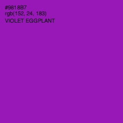 #9818B7 - Violet Eggplant Color Image