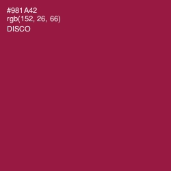 #981A42 - Disco Color Image