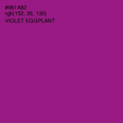 #981A82 - Violet Eggplant Color Image