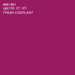 #981B61 - Fresh Eggplant Color Image