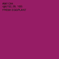 #981C64 - Fresh Eggplant Color Image