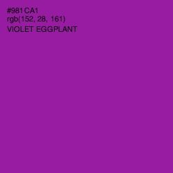 #981CA1 - Violet Eggplant Color Image