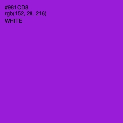 #981CD8 - Electric Violet Color Image