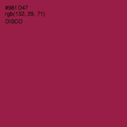 #981D47 - Disco Color Image