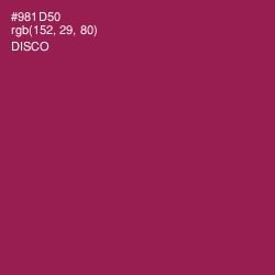 #981D50 - Disco Color Image