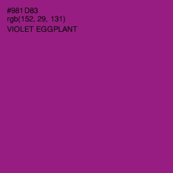 #981D83 - Violet Eggplant Color Image