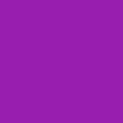 #981EAF - Violet Eggplant Color Image