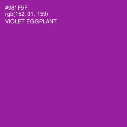 #981F9F - Violet Eggplant Color Image