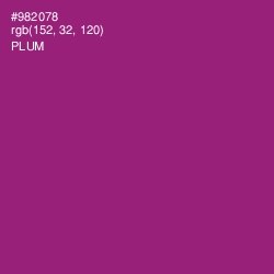 #982078 - Plum Color Image