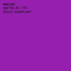 #9820AF - Violet Eggplant Color Image