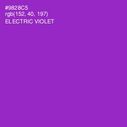 #9828C5 - Electric Violet Color Image