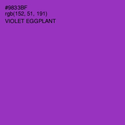 #9833BF - Violet Eggplant Color Image