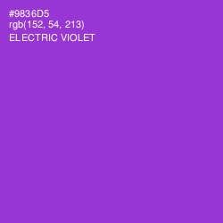 #9836D5 - Electric Violet Color Image