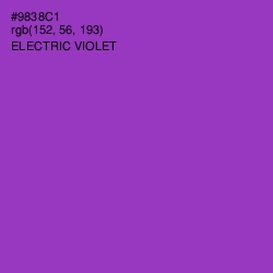 #9838C1 - Electric Violet Color Image