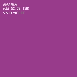 #983B8A - Vivid Violet Color Image