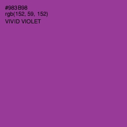 #983B98 - Vivid Violet Color Image