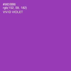#983BB6 - Vivid Violet Color Image