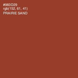 #983D29 - Prairie Sand Color Image